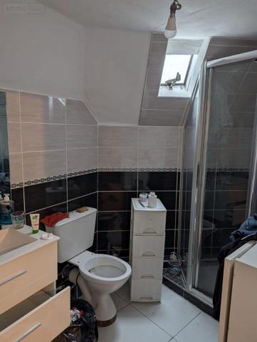 Local mixte (Pro/Hab) à vendre à Le Lude dans la Sarthe (72800), ref : 13861/1656