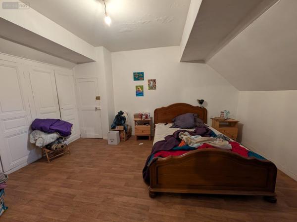 Local mixte (Pro/Hab) à vendre à Le Lude dans la Sarthe (72800), ref : 13861/1656