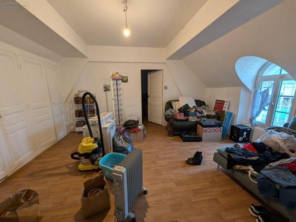 Local mixte (Pro/Hab) à vendre à Le Lude dans la Sarthe (72800), ref : 13861/1656