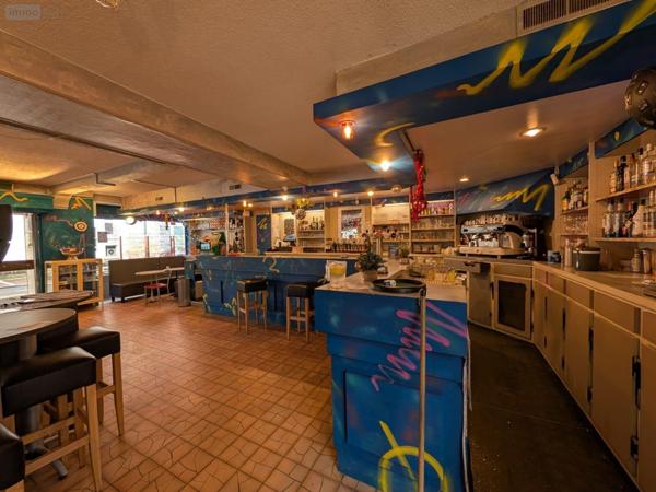 Local mixte (Pro/Hab) à vendre à Le Lude dans la Sarthe (72800), ref : 13861/1656