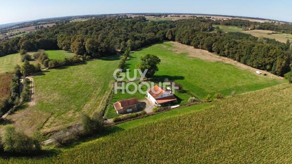 Maison à vendre à Hagetmau- Un havre de paix au coeur de la nature