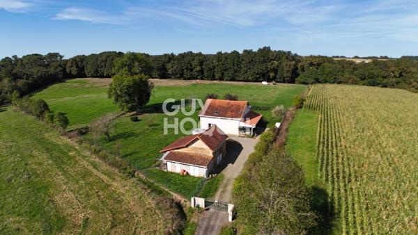 Maison à vendre à Hagetmau- Un havre de paix au coeur de la nature
