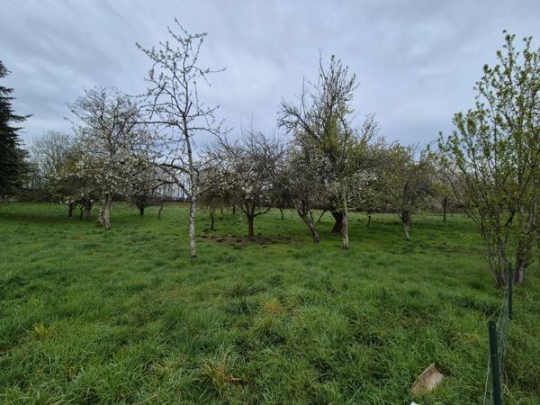Maison à vendre 4 pièces AIGURANDE (36)