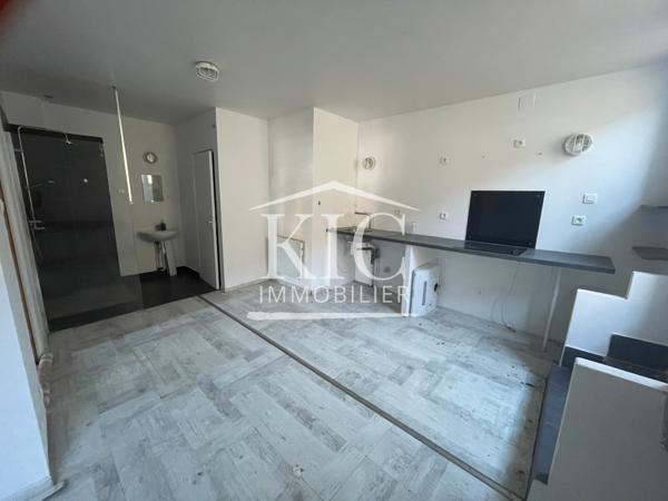 CARCASSONNE VUE CITÉ MÉDIÉVALE - ENSEMBLE IMMOBILIER 295 M² - 4 LOGEMENTS INDÉPENDANTS Détails des diagnostics énergétiques