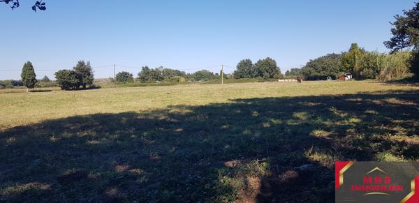Terrain agricole