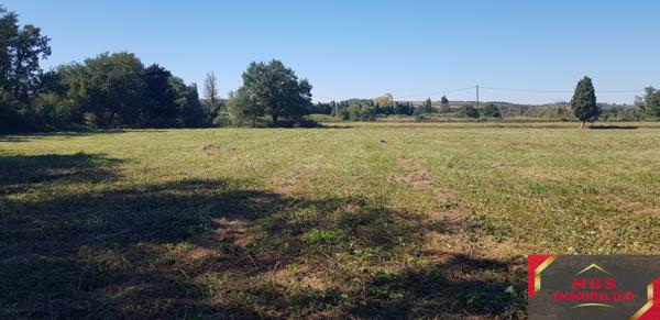 Terrain agricole