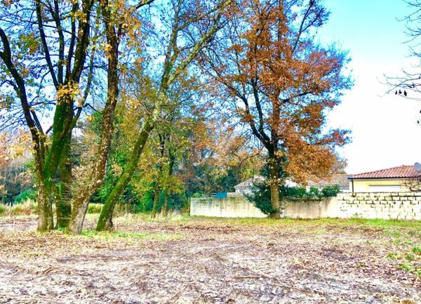 Terrain à vendre    La Tremblade