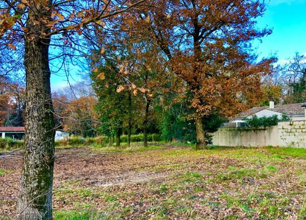 Terrain à vendre    La Tremblade