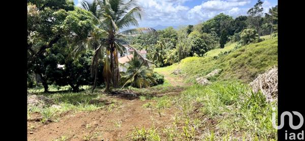 Terrain à vendre 538 m² Fort-de-France