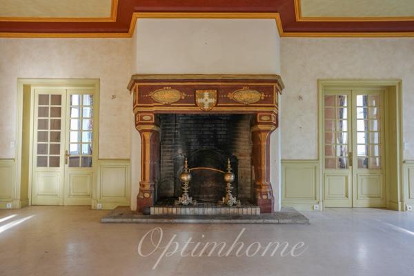 Propriete à vendre 23 pièces LA CHAPELLE SUR ERDRE (44)