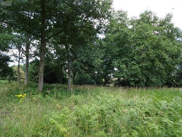 Maison à vendre à Romazy en Ille-et-Vilaine (35490), ref : 036/788