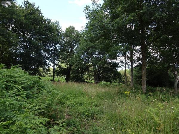 Maison à vendre à Romazy en Ille-et-Vilaine (35490), ref : 036/788