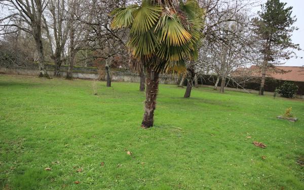 Terrain à vendre    Siros