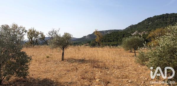 Terrain à vendre 2 533 m² Thézan-des-Corbières