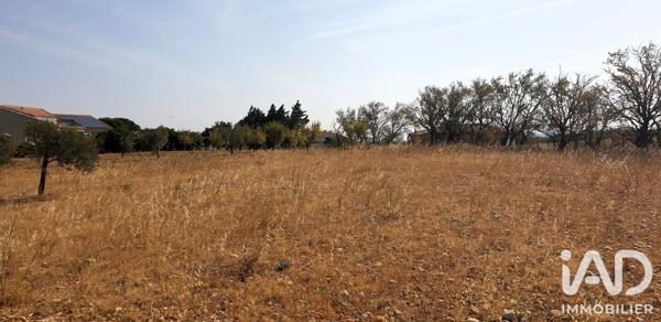 Terrain à vendre 2 533 m² Thézan-des-Corbières