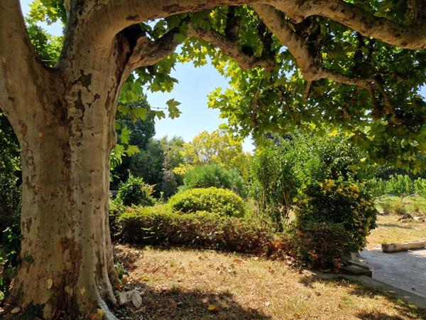 Mas provençal 9 pièces avec jardin proche de Saint Rémy de Provence