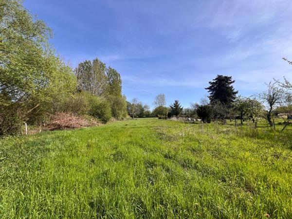 Terrain à Allotir - Beaufay - 8776 m²