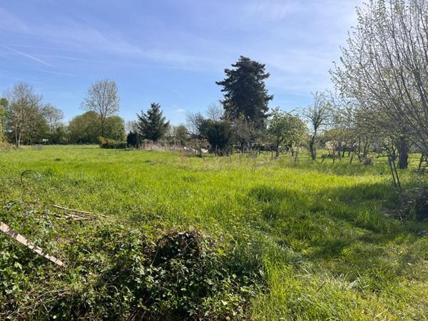 Terrain à Allotir - Beaufay - 8776 m²