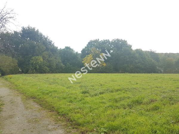 Terrain à bâtir à Loyat (56800)