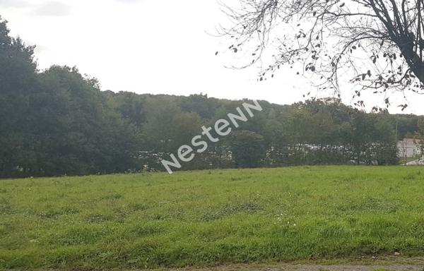 Terrain à bâtir à Loyat (56800)