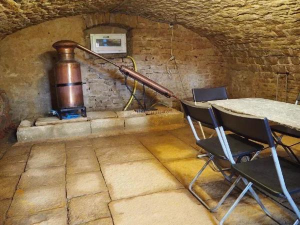 Vente Château 10 pièces 252 m2 à Savigny-en-Revermont