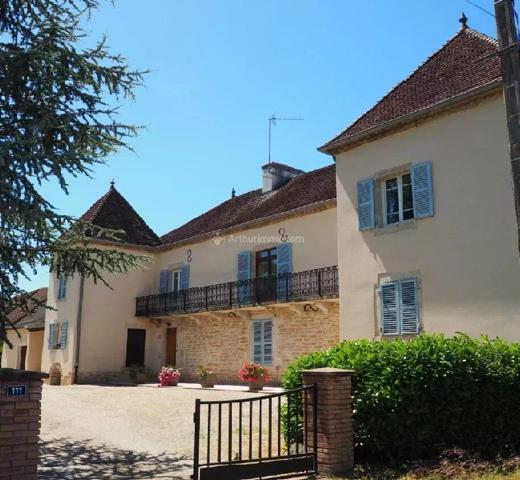 Vente Château 10 pièces 252 m2 à Savigny-en-Revermont