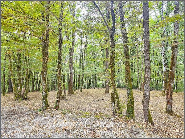Charmant gîte de 81 m² sur terrain boisé avec piscine chauffée.