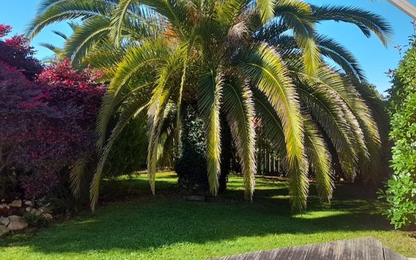 Maison à vendre    4 pièces •  Serres-Castet