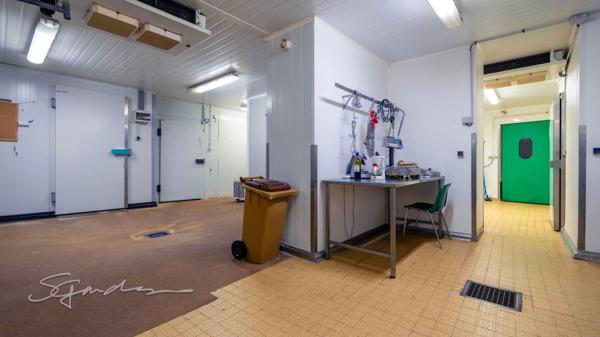 Fonds de commerce Boucherie Charcuterie Traiteur à vendre NAVARRENX (64)