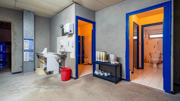 Fonds de commerce Boucherie Charcuterie Traiteur à vendre NAVARRENX (64)