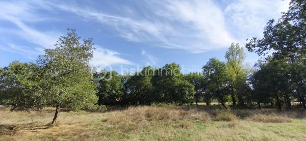 Vends terrain constructible de 2577 m2 au calme et boisé proche de Montauban, situé à 5 minutes de Montauban, proche de toutes commodités (Ecole, boucherie, coiffeur, boulangerie, supermarché, pharmacie, etc...) à 35 minutes de l'aéroport de Toulouse-Blagnac et de Toulouse, ce terrain vous offrira un environnement calme et champêtre, à visiter sans tarder !

PRIX H.A.I. : 176 505 €

Contactez votre conseiller BSK Immobilier :
PIERLOT Corentin - Agent commercial immatriculé au RSAC d'Albi sous le numéro 521641936.

INFORMATIONS ET VISITES : 0621220824