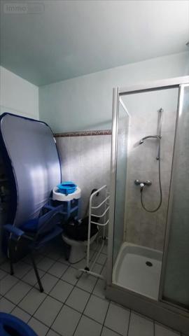 Maison rurale à vendre à Vicq-sur-Nahon dans l'Indre (36600), ref : 021/1532