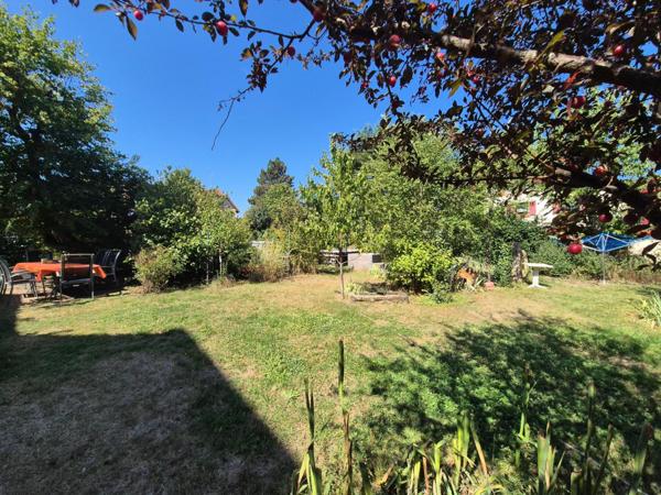 ? Nouveauté à Wittelsheim ?