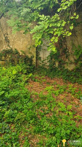 Votre recherche de biens