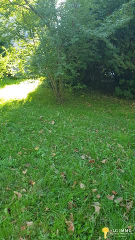 Votre recherche de biens