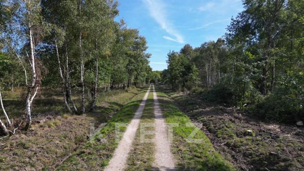 Domaine de 953 ha – Château, dépendances, étangs, enclos cynégétique