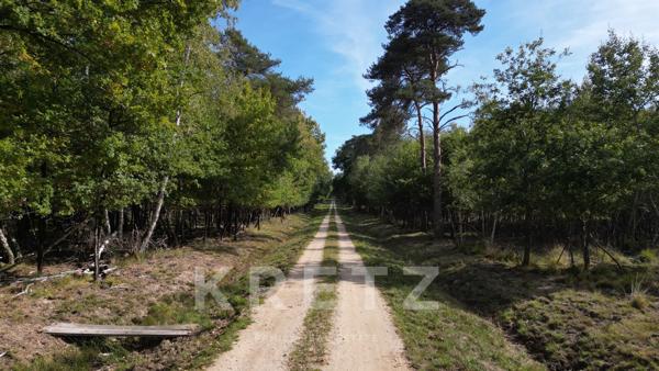 Domaine de 953 ha – Château, dépendances, étangs, enclos cynégétique