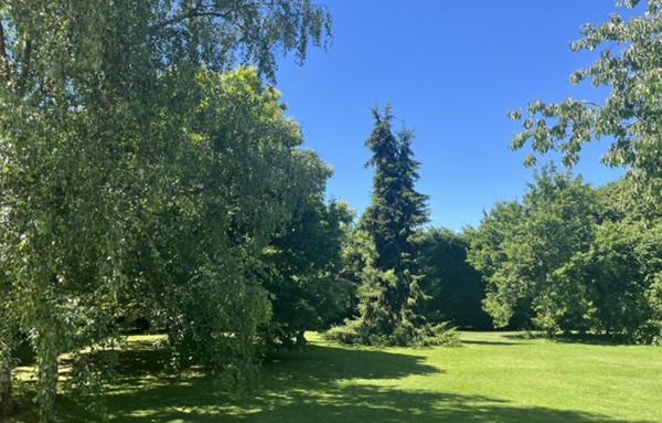 Maison de 250 m²