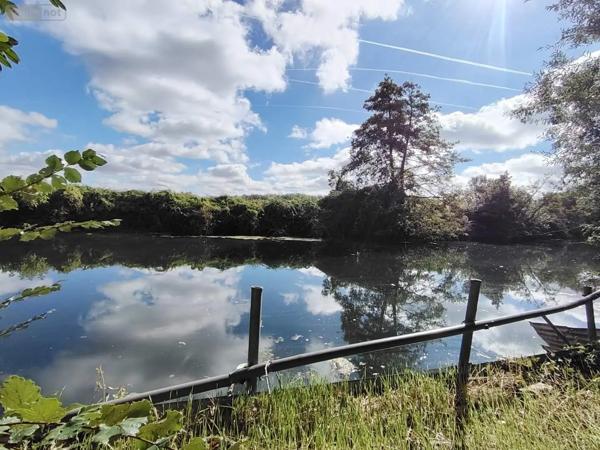 Achat - Terrain de loisirs, bois, étangs Naintré 86530 2050 m 2