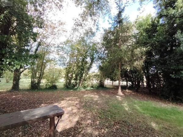 Achat - Terrain de loisirs, bois, étangs Naintré 86530 2050 m 2