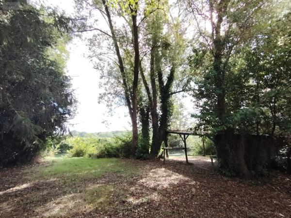 Achat - Terrain de loisirs, bois, étangs Naintré 86530 2050 m 2
