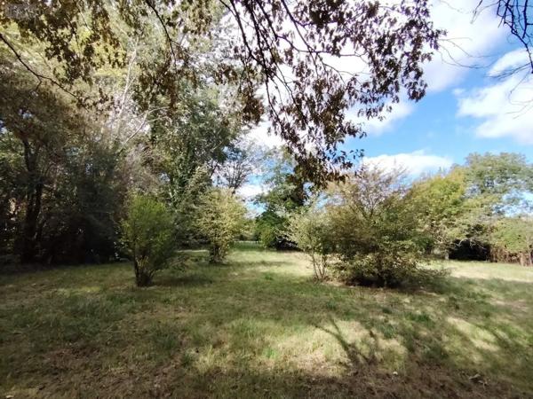 Achat - Terrain de loisirs, bois, étangs Naintré 86530 2050 m 2