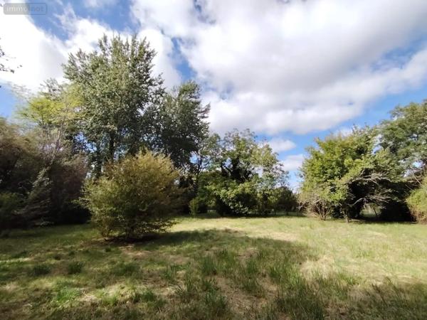 Achat - Terrain de loisirs, bois, étangs Naintré 86530 2050 m 2