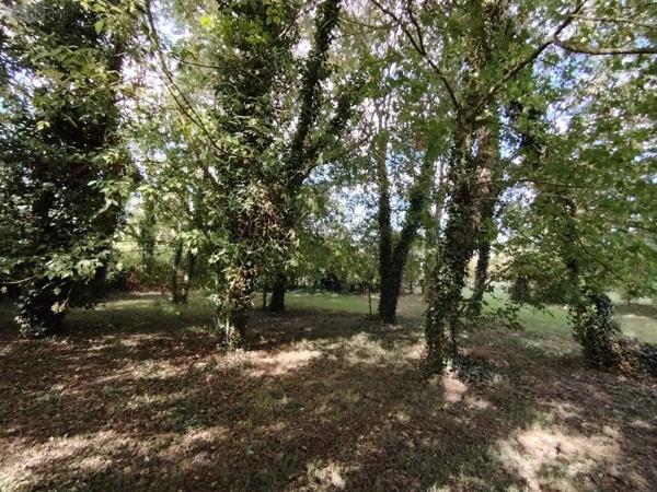 Achat - Terrain de loisirs, bois, étangs Naintré 86530 2050 m 2