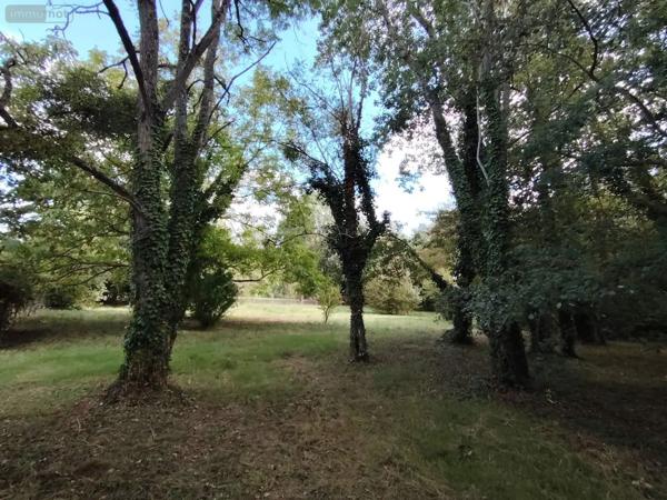 Achat - Terrain de loisirs, bois, étangs Naintré 86530 2050 m 2