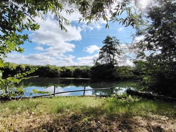 Achat - Terrain de loisirs, bois, étangs Naintré 86530 2050 m 2
