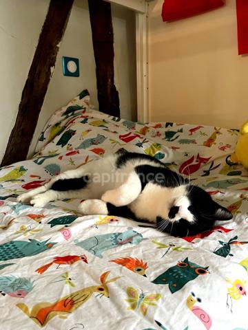 Charmante maison de village entièrement restaurée, 5 pièces, 3 chambres, au coeur du triangle Saint-Clar / Fleurance / Lectoure