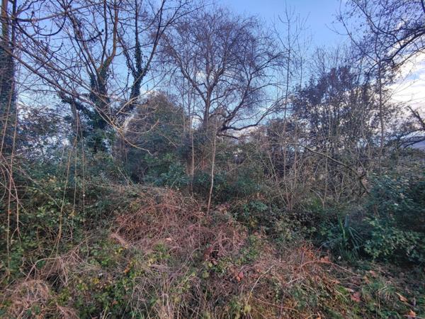 Terrain à vendre LAMALOU LES BAINS (34)