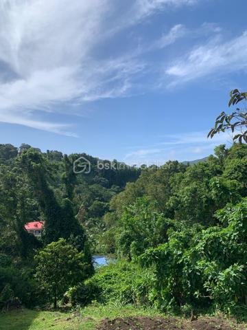 🌿 À VENDRE — Terrain constructible à Saint-Claude

Vous recherchez un terrain pour concrétiser votre projet de construction à Saint-Claude ?

Découvrez ce terrain en pente offrant un beau potentiel, notamment grâce à un terrassement déjà réalisé prêt à accueillir une construction.

🏡 Ses atouts :

* Terrain constructible, idéal pour un projet de maison individuelle.
* Plateforme déjà aménagée, permettant d’envisager plus facilement le démarrage d’un projet de construction.
* Deux accès distincts : une rue desservant la partie haute du terrain et une route d’accès pour la partie basse.
* Une configuration intéressante pour un projet familial, un investissement ou une construction avec possibilité d’aménagement de deux espaces indépendants.

Parcelle classé en zone Uc, PPRN : zone soumise à projet d'aménagement

📞 Pour plus d’informations, obtenir les caractéristiques du terrain ou organiser une visite, n’hésitez pas à me contacter.