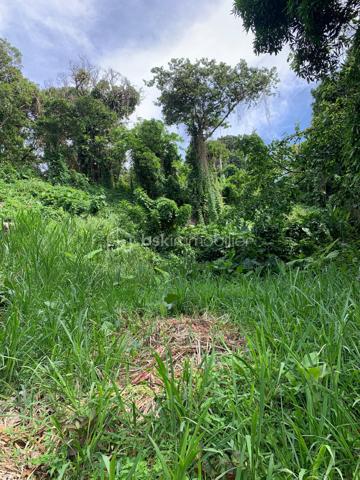 🌿 À VENDRE — Terrain constructible à Saint-Claude

Vous recherchez un terrain pour concrétiser votre projet de construction à Saint-Claude ?

Découvrez ce terrain en pente offrant un beau potentiel, notamment grâce à un terrassement déjà réalisé prêt à accueillir une construction.

🏡 Ses atouts :

* Terrain constructible, idéal pour un projet de maison individuelle.
* Plateforme déjà aménagée, permettant d’envisager plus facilement le démarrage d’un projet de construction.
* Deux accès distincts : une rue desservant la partie haute du terrain et une route d’accès pour la partie basse.
* Une configuration intéressante pour un projet familial, un investissement ou une construction avec possibilité d’aménagement de deux espaces indépendants.

Parcelle classé en zone Uc, PPRN : zone soumise à projet d'aménagement

📞 Pour plus d’informations, obtenir les caractéristiques du terrain ou organiser une visite, n’hésitez pas à me contacter.